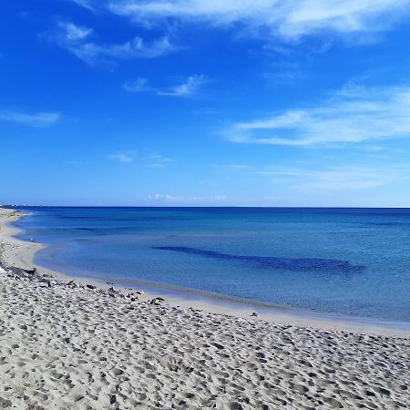 Le Case Di Pat - Palms Home ซานเปียโตร อิน เบวานญา ภายนอก รูปภาพ