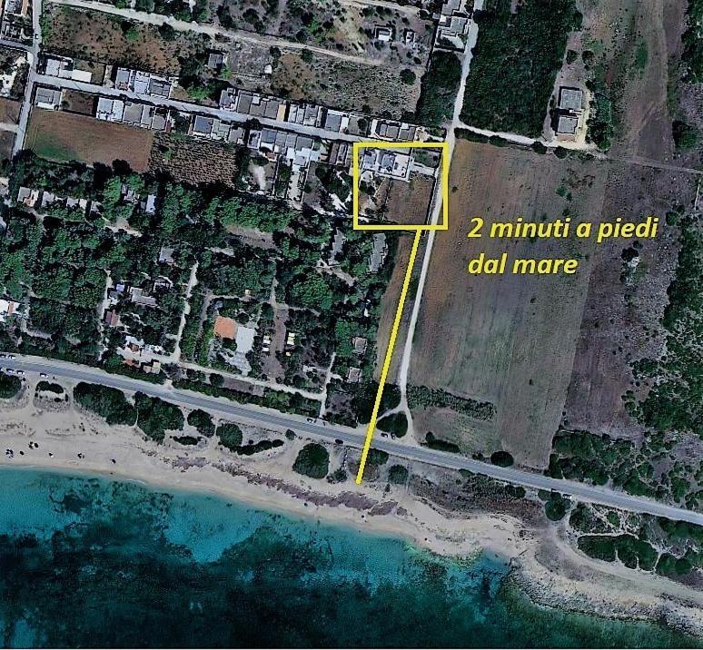 Le Case Di Pat - Palms Home ซานเปียโตร อิน เบวานญา ภายนอก รูปภาพ