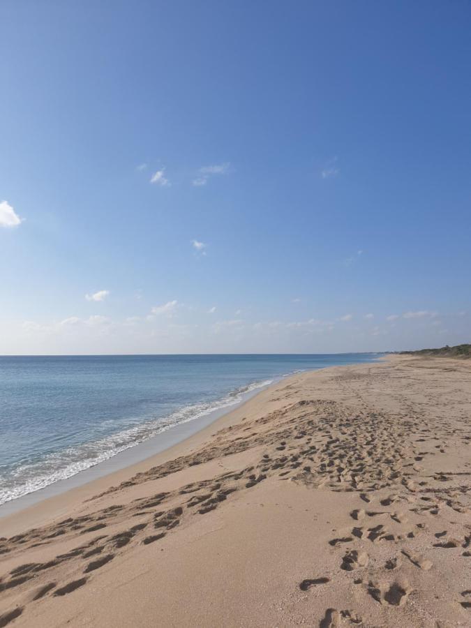 Le Case Di Pat - Palms Home ซานเปียโตร อิน เบวานญา ภายนอก รูปภาพ