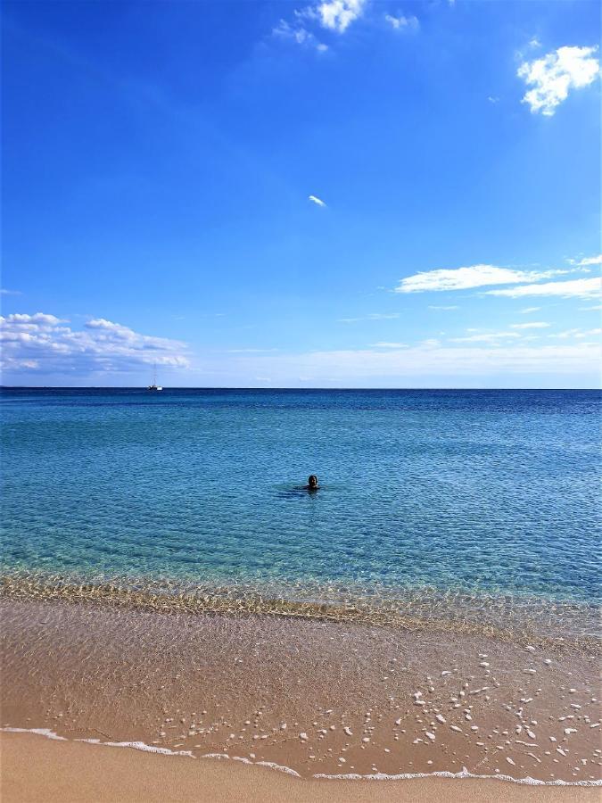 Le Case Di Pat - Palms Home ซานเปียโตร อิน เบวานญา ภายนอก รูปภาพ